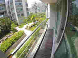 The Raintree (D21), Condominium #174889822